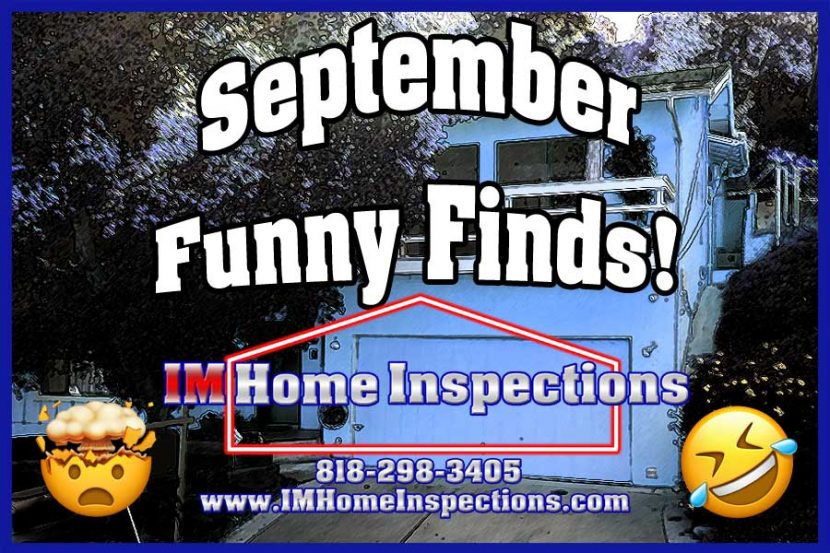 September Funny Finds