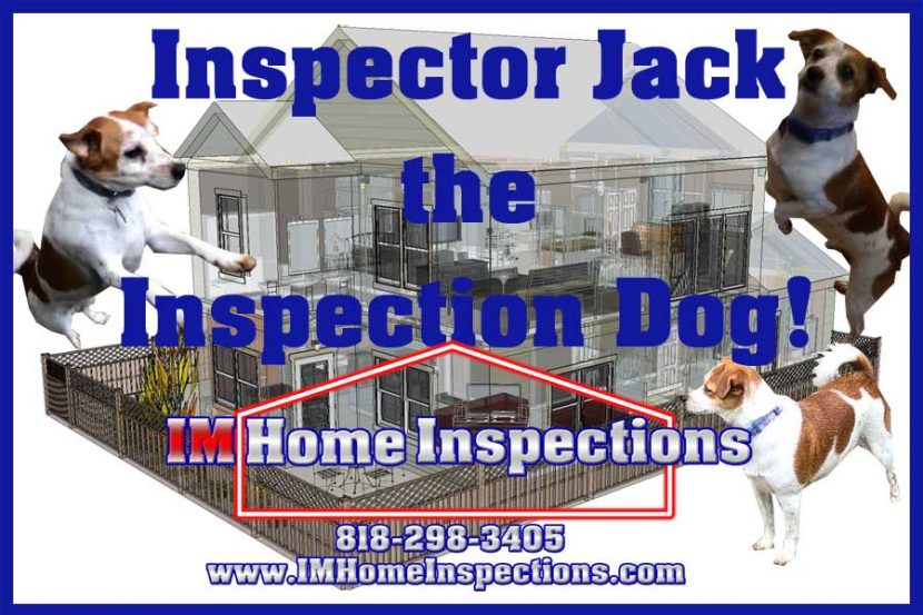 Inspector Jack