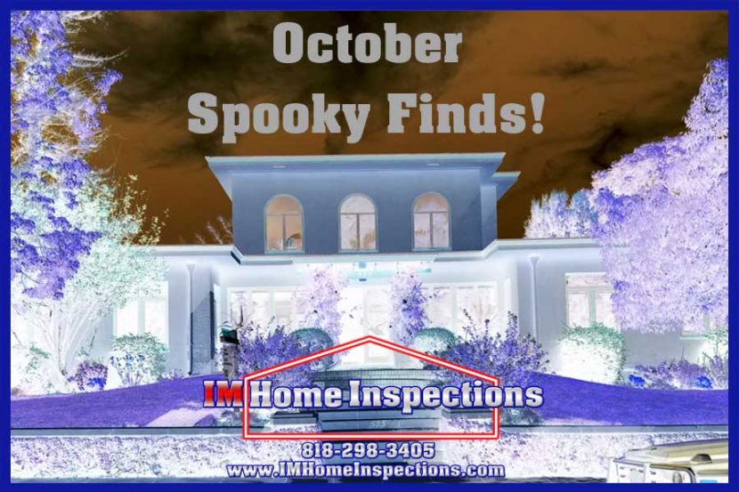 October Spooky Finds