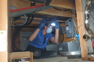 Inspector Matt investigating