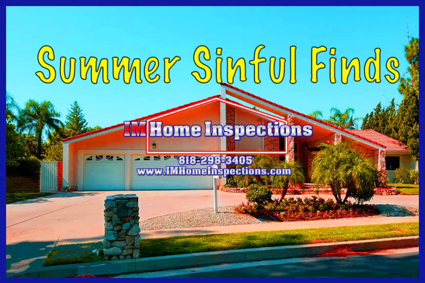 Home Inspector Finds