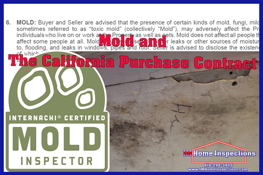 Mold Inspections are important